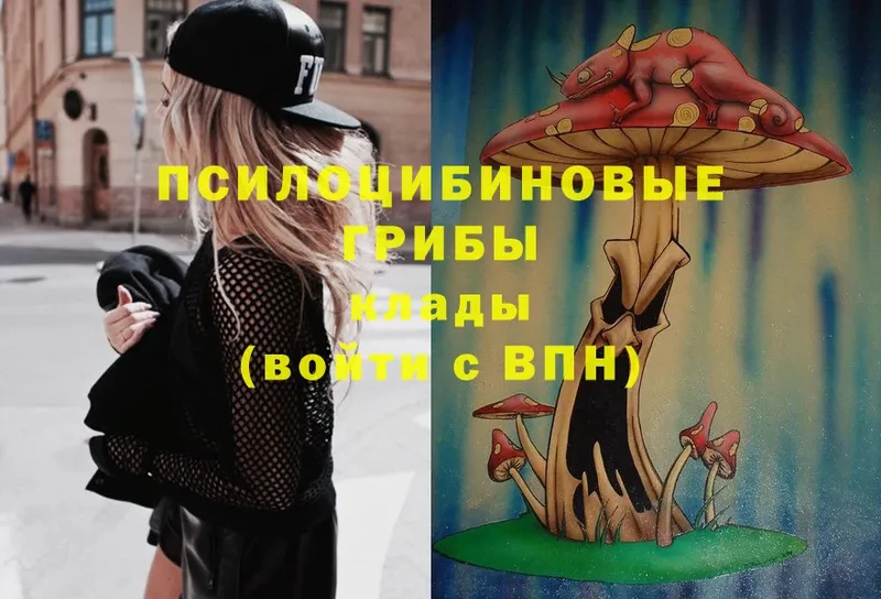 Галлюциногенные грибы Magic Shrooms  даркнет сайт  Голицыно 